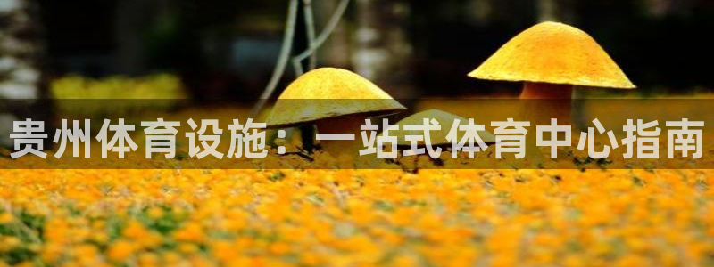 凯时k8娱乐唯一官网