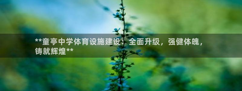 尊龙人生就是博登录准认来就送38