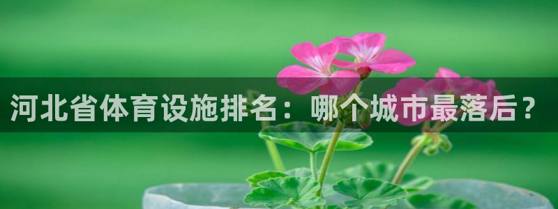 尊龙凯时ag旗舰厅官网客服