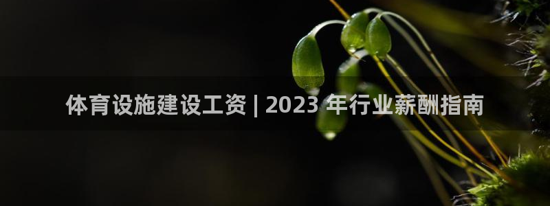 尊龙凯时请求参数不符合