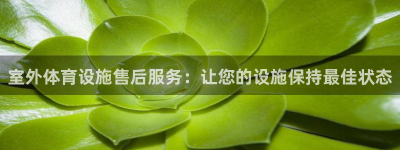 尊龙凯时是正规平台吗