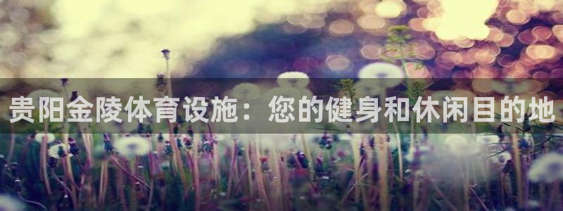 尊龙ag旗舰