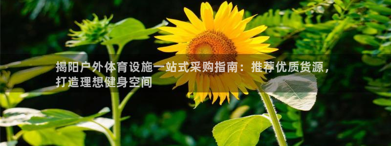 尊龙现金娱乐 下载
