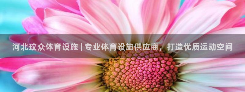 尊龙人生就是博i可靠吗