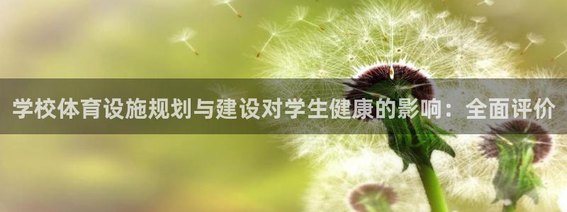 尊龙官网免费下载