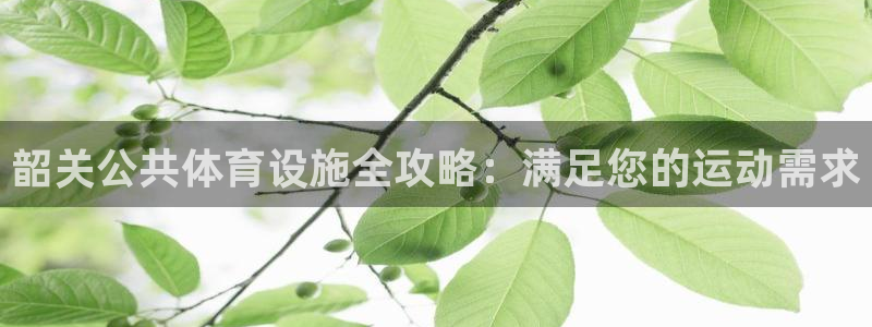 尊龙凯时输了100万
