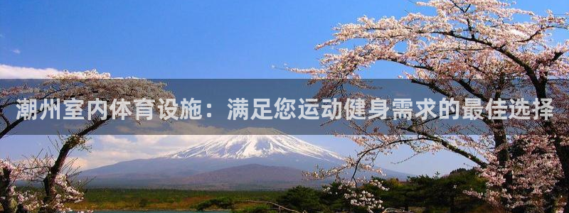 尊龙官方网站最新版V9.3.06介绍