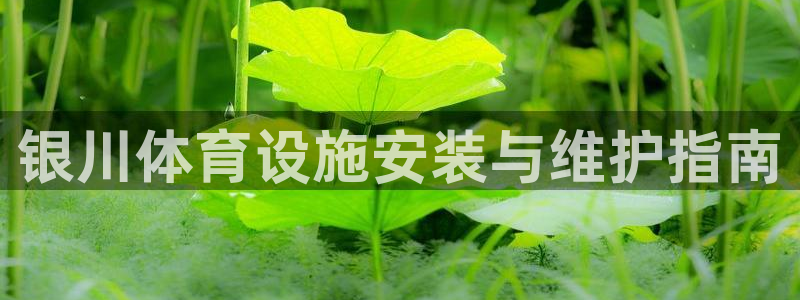 尊龙专访