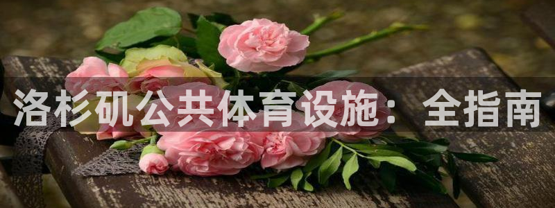 尊龙人生就是博旗舰厅