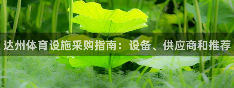 尊龙凯时代理佣金发不发