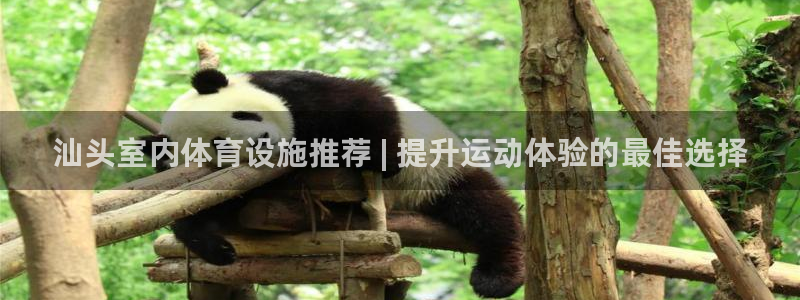 尊龙凯时的钱能退回来吗