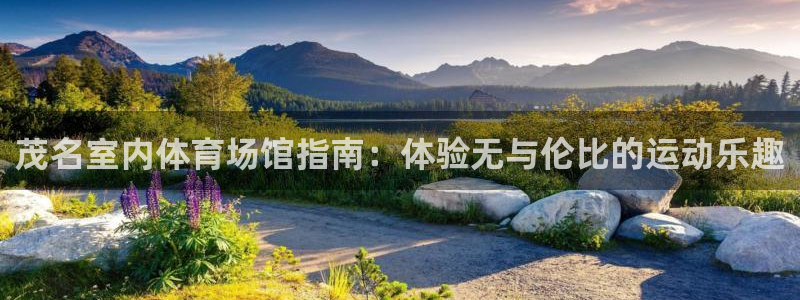 尊龙凯时发展历程