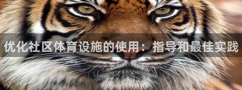 尊龙官网