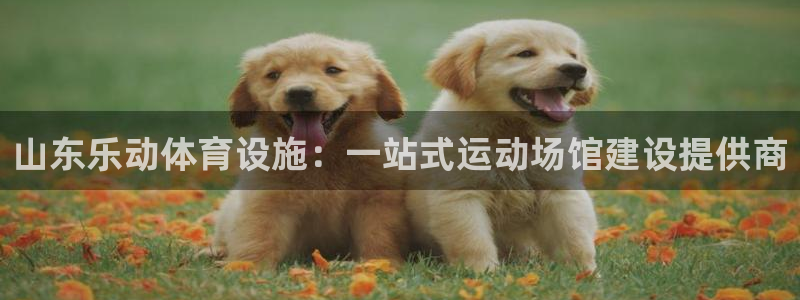 ag尊龙凯时俱乐部