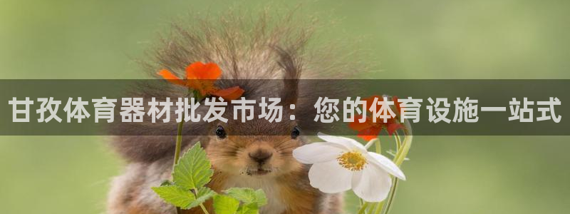 尊龙凯时官方网站下载