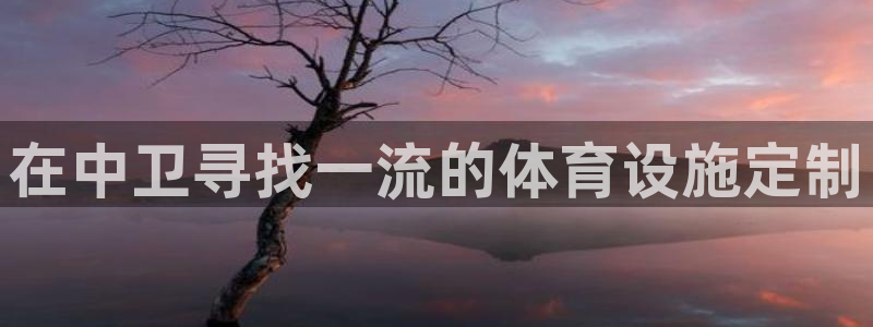 尊龙人生就是博l