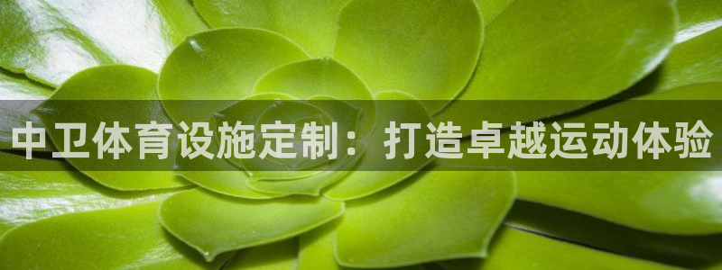 尊龙凯时 - 人生就是搏手机登录