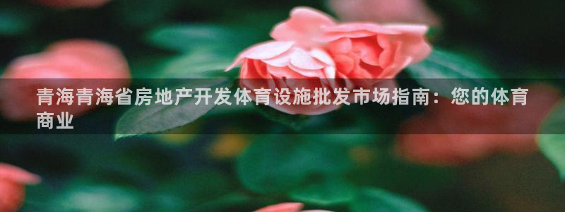 尊龙游戏app官方网站