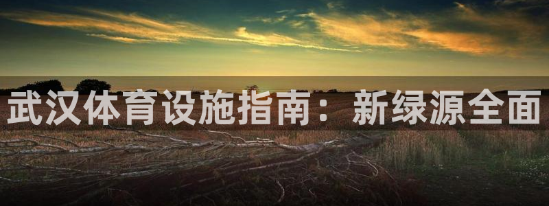 尊龙凯时怎么注销账号