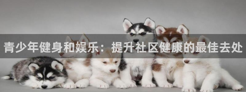 尊龙凯时 人生就是搏!平台