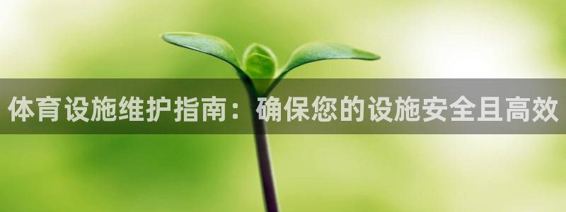 z6com尊龙凯时代理