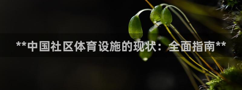 尊龙人生就是博送38