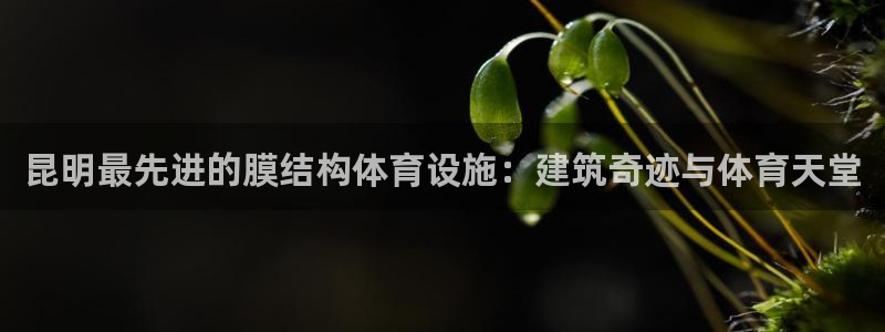 尊龙人生就是博中国区