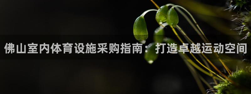 尊龙d88官网登录下载