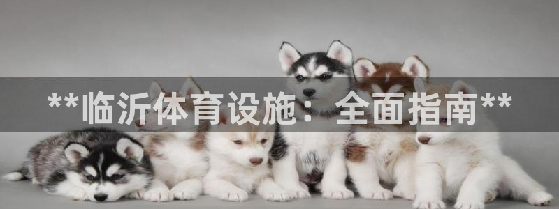 尊龙人生就是一博!