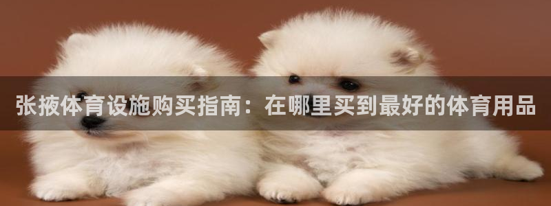 尊龙人生就是博AG