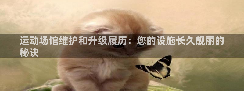 凯时K66最新版本下载