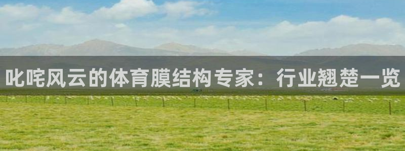 尊龙app下载官网