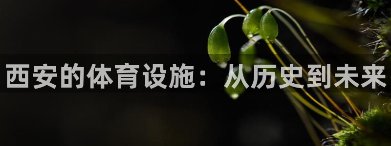 尊龙凯时人生就是搏包装优势