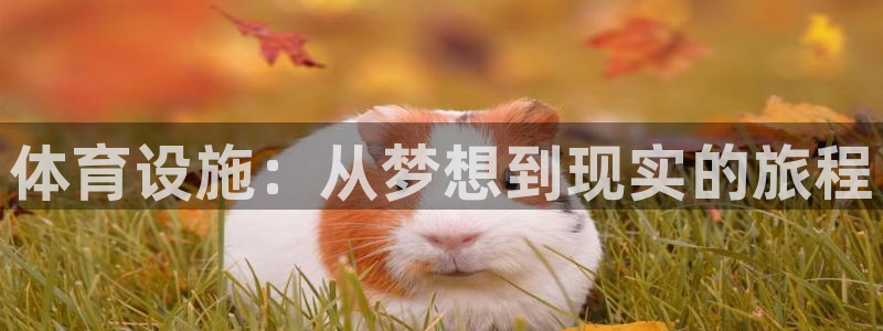 尊龙d88现金关注ag发财网