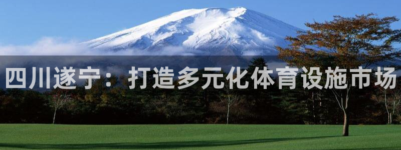 尊龙ag旗舰厅下载